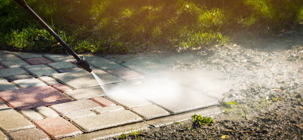 Solar Panel Cleaning in Sheffield, AL